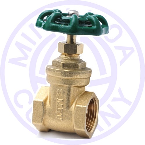 Van Cửa Đồng MBV